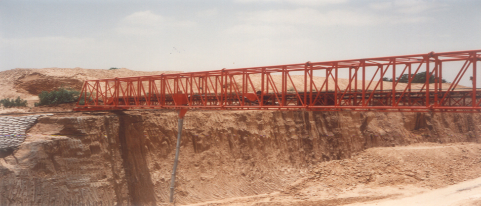 Customized Conveyor